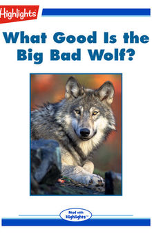 What Good Is the Big Bad Wolf?
