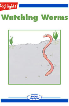Watching Worms