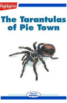 The Tarantulas of Pie Town