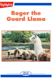 Roger the Guard Llama