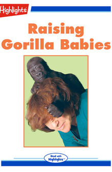 Raising Gorilla Babies
