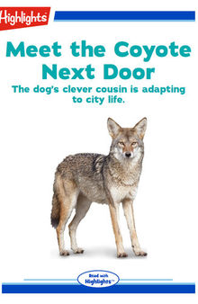 Meet the Coyote Next Door