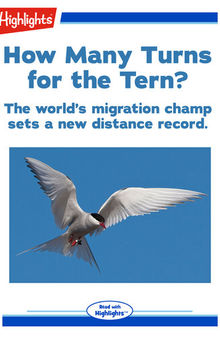 How Many Turns for the Tern?