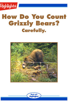 How Do You Count Grizzly Bears?
