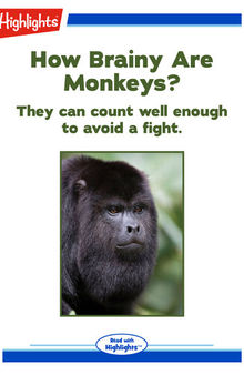 How Brainy are Monkeys?