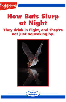 How Bats Slurp at Night