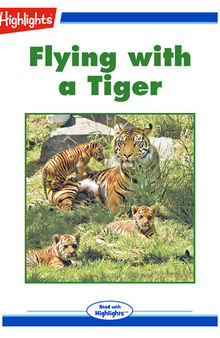 Flying with a Tiger