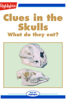 Clues in the Skulls