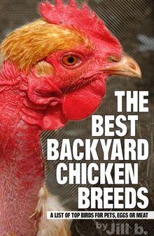 The Best Backyard Chicken Breeds: A List of Top Birds for Pets, Eggs and Meat