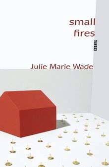 Small Fires: Essays