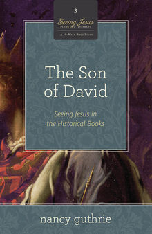 The Son of David (A 10-week Bible Study): Seeing Jesus in the Historical Books