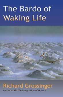 The Bardo of Waking Life