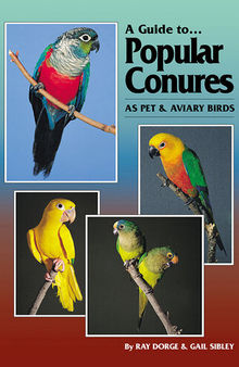 A Guide to Popular Conures as Pet and Aviary Birds