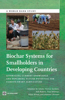 Biochar Systems for Smallholders in Developing Countries: Leveraging Current Knowledge and Exploring Future Potential for Climate-Smart Agriculture