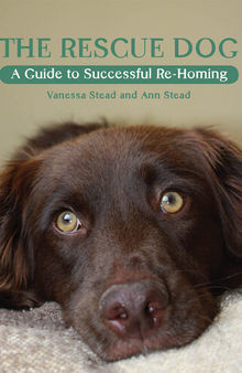 Rescue Dog: A Guide to Successful Re-homing