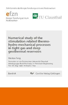 Numerical Study of the Stimulation Related Thermo-hydro-mechanical Processes in Tight Gas and Deep Geothermal Reservoirs
