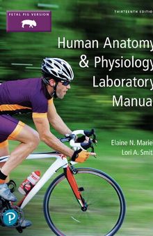 Human Anatomy And Physiology Laboratory Manual Fetal Pig Version 13th edition by Elaine Marieb