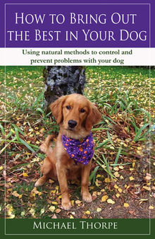 How to Bring Out the Best in Your Dog: Using Natural Methods to Control and Prevent Problems With Your Dog