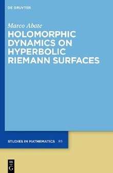 Holomorphic Dynamics on Hyperbolic Riemann Surfaces