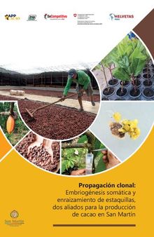 Propagación clonal: Embriogénesis somática y enraizamiento de estaquillas, dos aliados para la producción de cacao (Theobroma cacao L.) en San Martín (Perú)