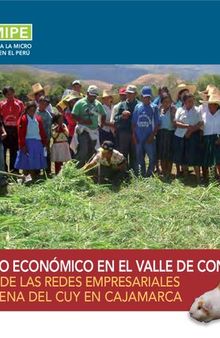 Dinamismo económico en el valle de Condebamba (Cajabamba, Cajamarca). El aporte de las redes empresariales de la cadena del cuy (Cavia spp.) en Cajamarca