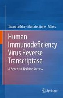 Human Immunodeficiency Virus Reverse Transcriptase: A Bench-to-Bedside Success