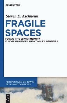 Fragile Spaces: Forays into Jewish Memory, European History and Complex Identities