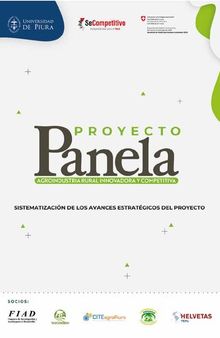 Proyecto Panela agroindustrial rural innovadora y competitiva. Sistematización de los avances estratégicos del proyecto