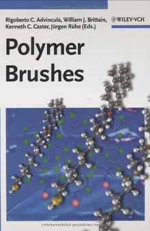 Polymer Brushes