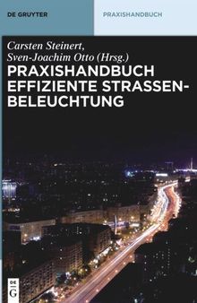 Praxishandbuch effiziente Straßenbeleuchtung
