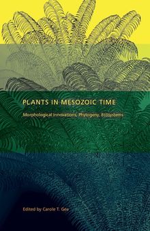 Plants in Mesozoic Time: Morphological Innovations, Phylogeny, Ecosystems