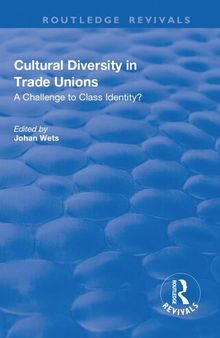 Cultural Diversity in Trade Unions: A Challenge to Class Identity?: A Challenge to Class Identity?