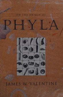 On the origin of phyla