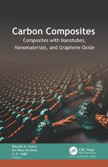 Carbon Composites. Composites with Nanotubes, Nanomaterials, and Graphene Oxide