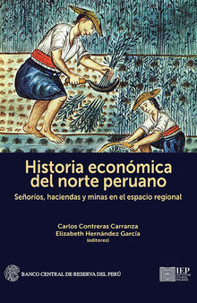 Historia económica del norte peruano. Señoríos, haciendas y minas en el espacio regional.
