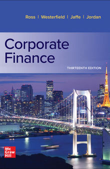 Corporate finance 13 Quantitative finance excel