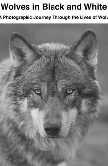 Wolves in Black and White: A Photographic Journey Through the Lives of Wolves