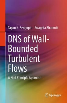DNS of Wall-Bounded Turbulent Flows. A First Principle Approach