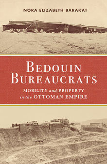 Bedouin Bureaucrats