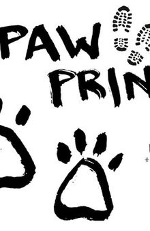 Paw Prints: Living in the City