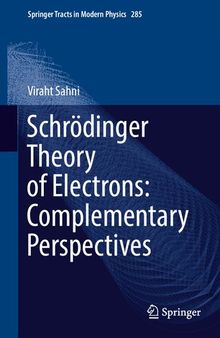 Schrödinger Theory of Electrons: Complementary Perspectives