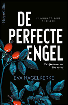 De perfecte engel