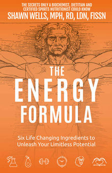 The ENERGY Formula: Six Life Changing Ingredients to Unleash Your Limitless Potential