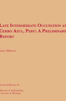 Late Intermediate Occupation at Cerro Azul, Perú, A Preliminary Report