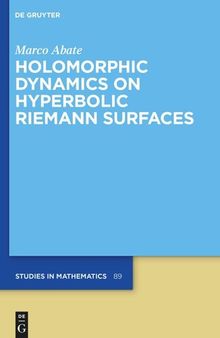 Holomorphic Dynamics on Hyperbolic Riemann Surfaces