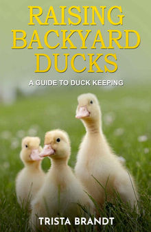 Raising Backyard Ducks: A Guide to Duck Keeping