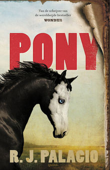 Pony