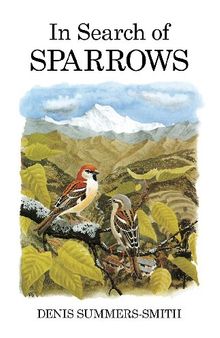 In Search of Sparrows