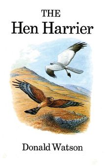 The Hen Harrier