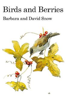 Birds and Berries: A study of an ecological interaction
